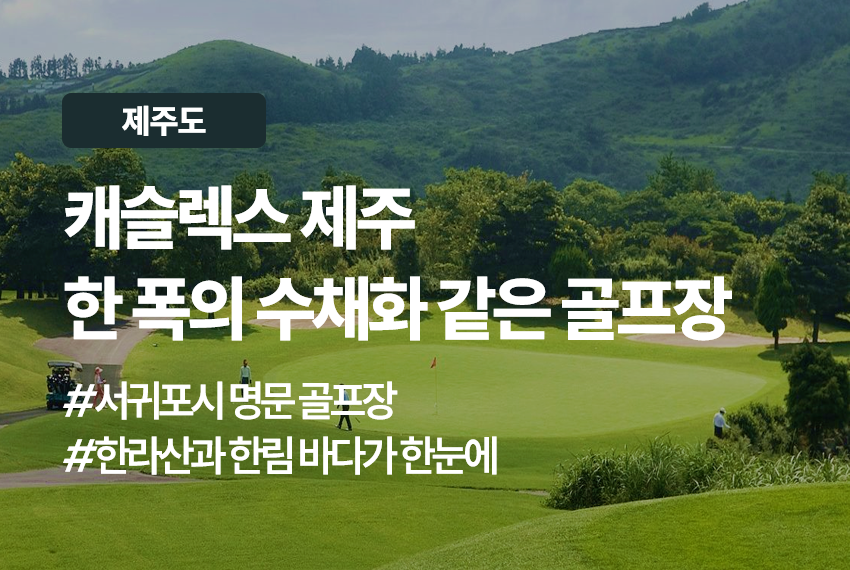제주 